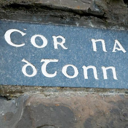 Ceol Na Mara Holiday Homes - Cois Tra & Cor Na Dtonn 에니스크론 외부 사진