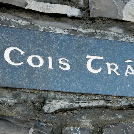 Ceol Na Mara Holiday Homes - Cois Tra & Cor Na Dtonn 에니스크론 외부 사진